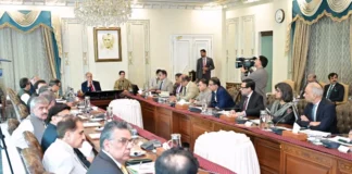 PM Shehbaz orders timely completion of privatisation programmes