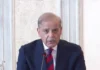 PM Shehbaz: Pak-Saudi-Turkiye defence pact is solely for defensive purposes